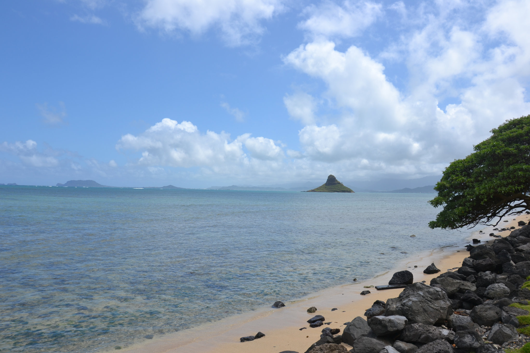 Auf der Fahrt nach Waikiki