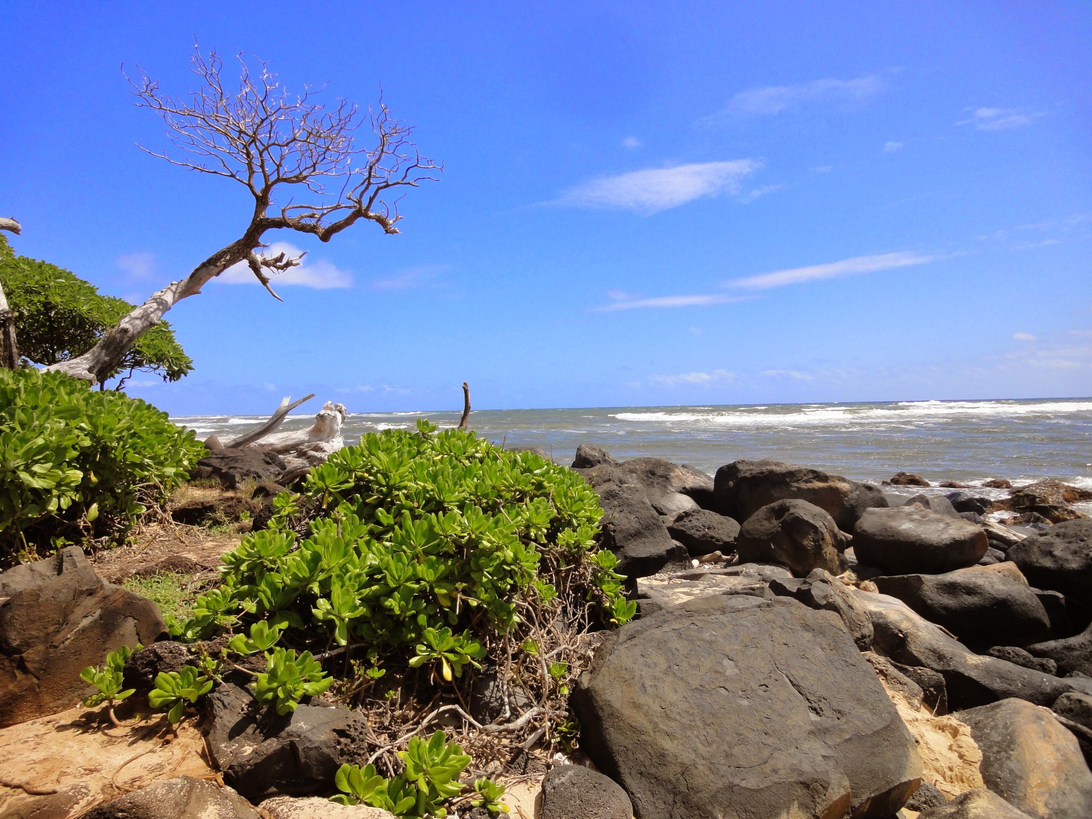 Nochmal Lydgate Beach