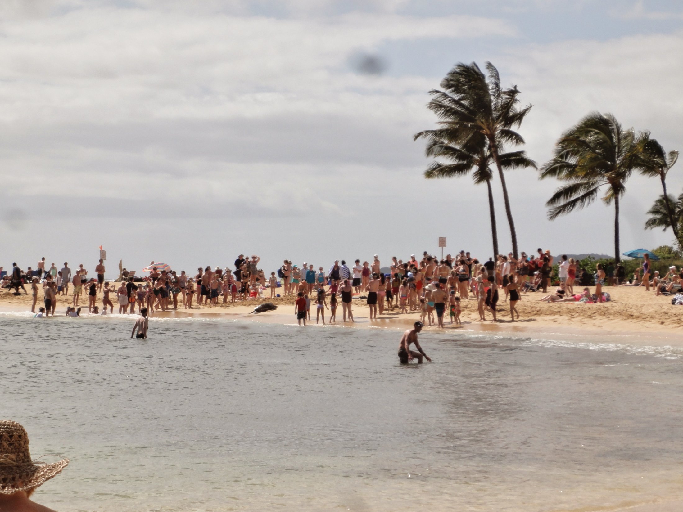 Leerer Strand - ....