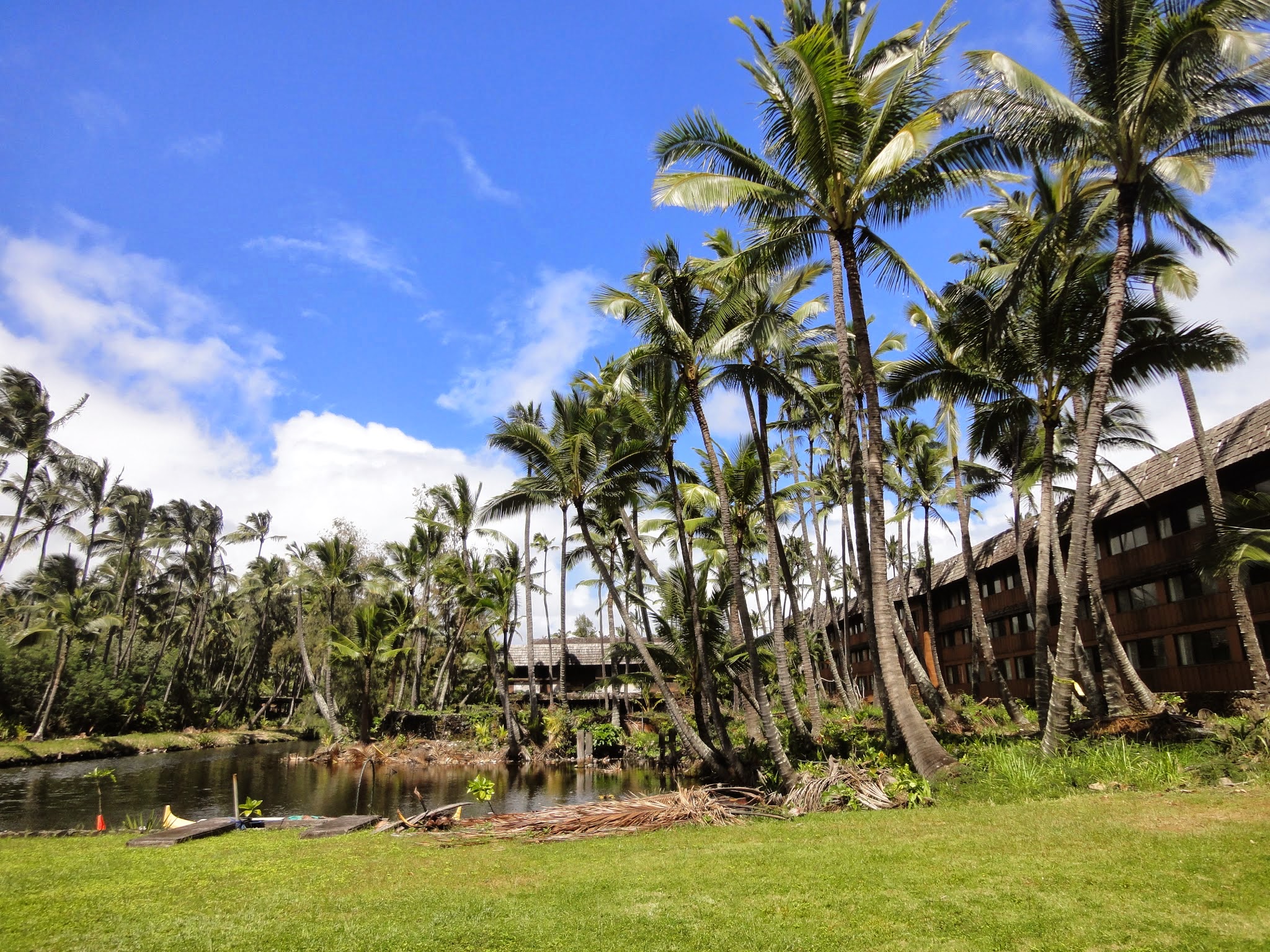 Coco Palms