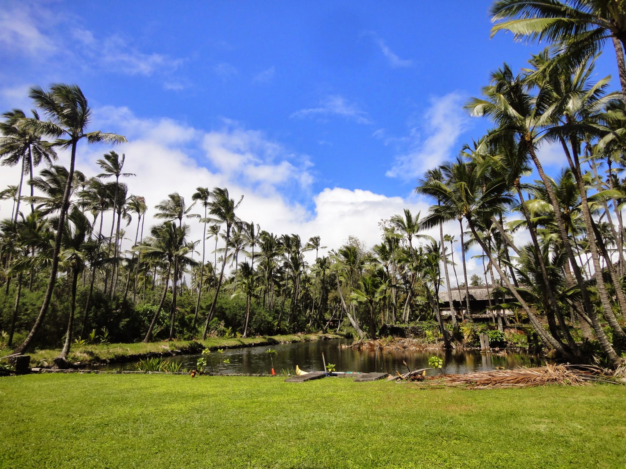 Coco Palms die Zweite