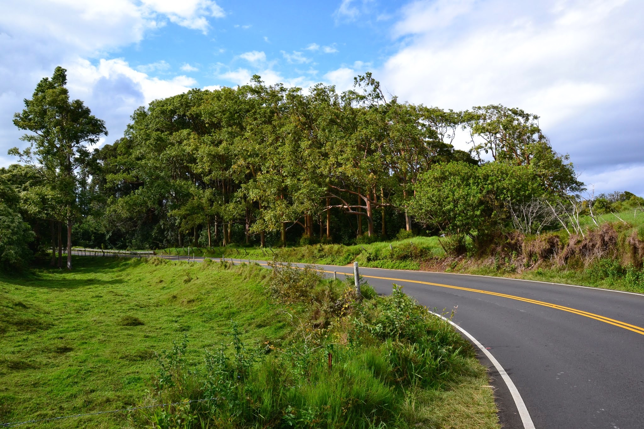 Hana Highway ...