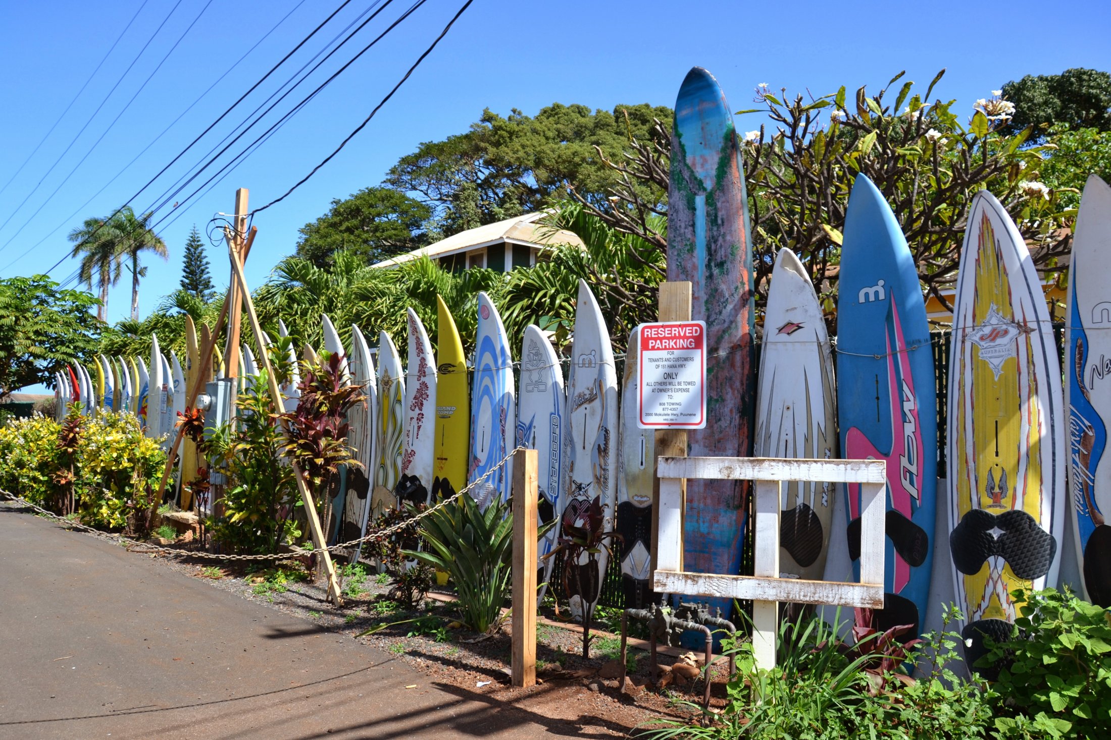 Der Surfboard Klassiker