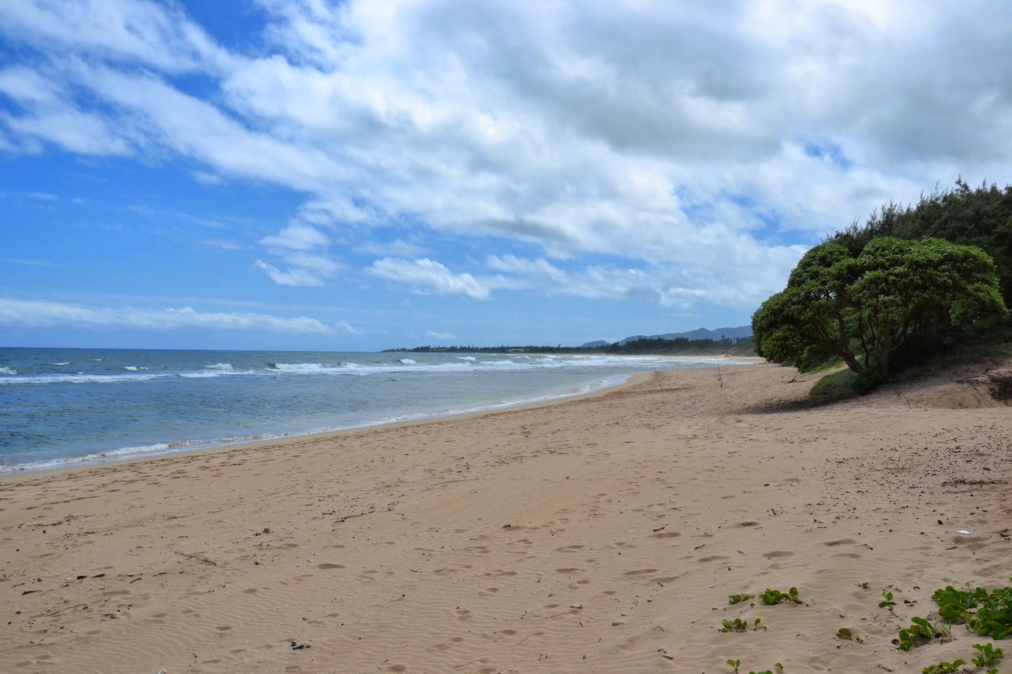 Lydgate Beach nach Süden