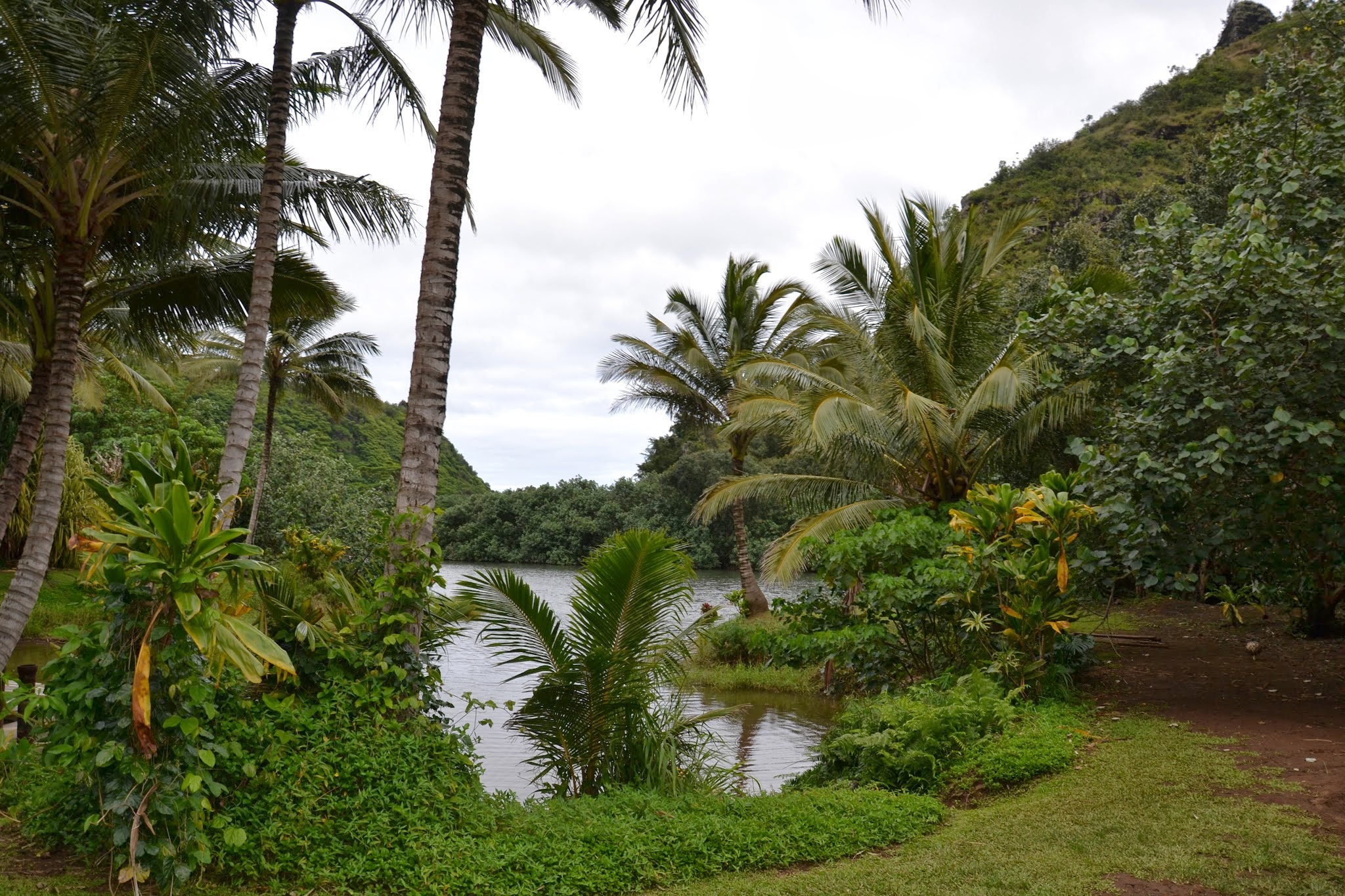 Am Waimea River