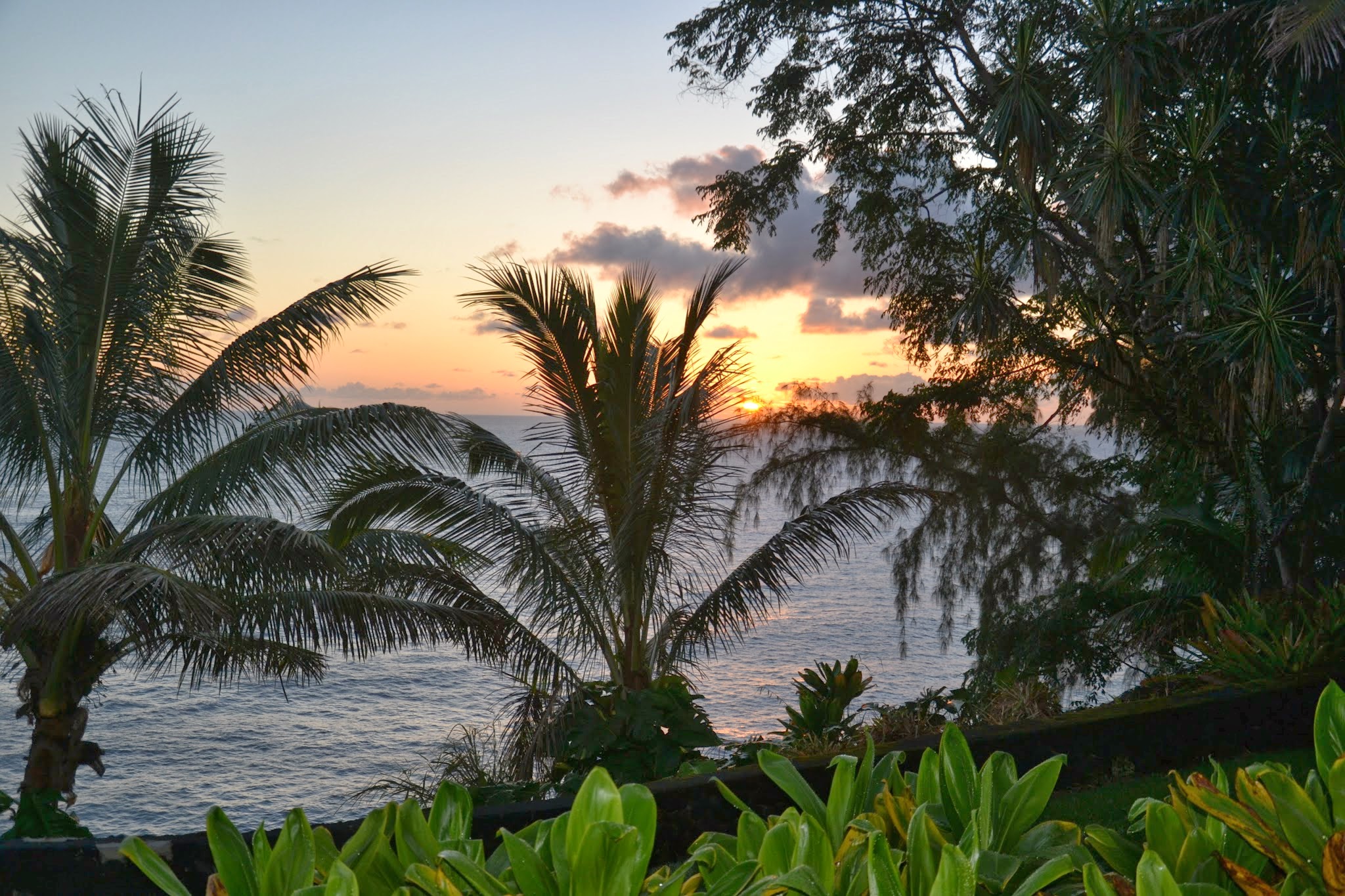 Sonnenaufgang im Palms Cliff House