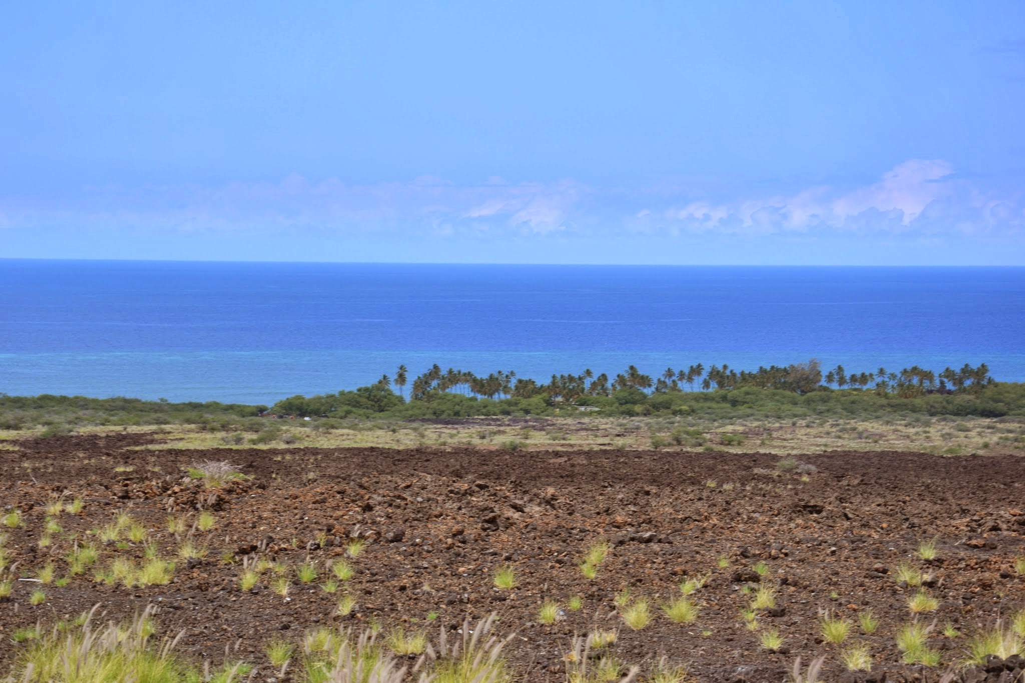 AA Lava, Palmen und Meer