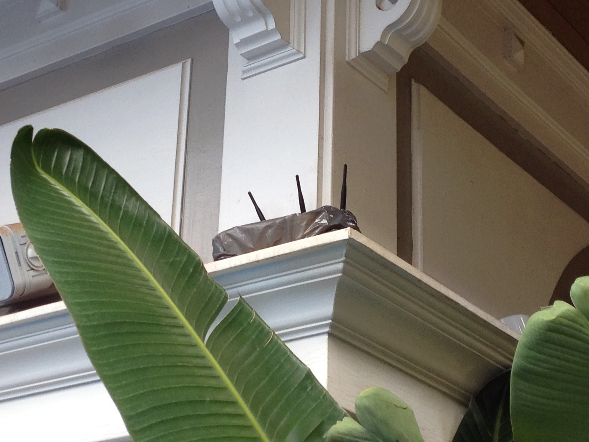 So schützt man auf Maui den Router vor der Näße