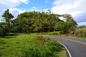Hana Highway ...