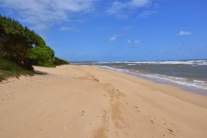 Und nochmal Lydgate Beach hier nach Norden