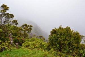 Blick auf die Na Pali Coast - zumindest wenn der Nebel weg wäre
