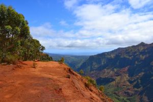 Blick vom Canyon in den Canyon