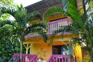 Cottage Rückansicht - Fred ist im Farbenhimmel