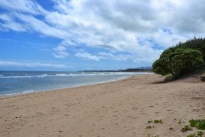 Lydgate Beach nach Süden