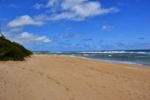 Lydgate Beach nach Norden