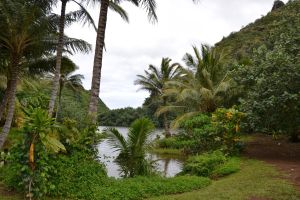 Am Waimea River