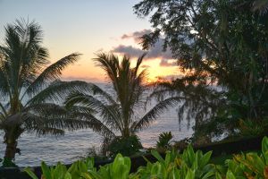 Sonnenaufgang im Palms Cliff House