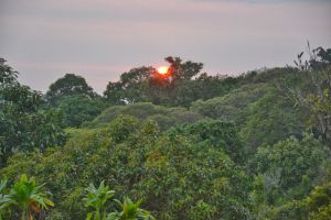 Sonnenuntergang - schon wieder ...