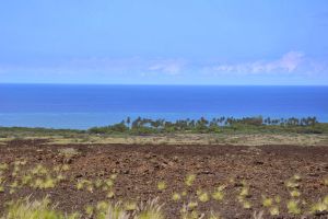 AA Lava, Palmen und Meer