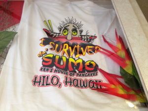 Das T-Shirt bekomme ich schonmal nicht ...